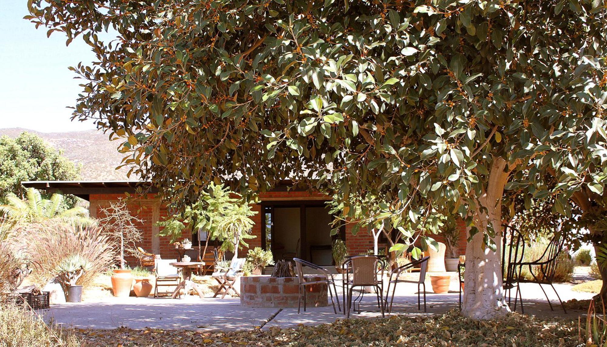 Las Orquideas Valle de Guadalupe Exterior foto